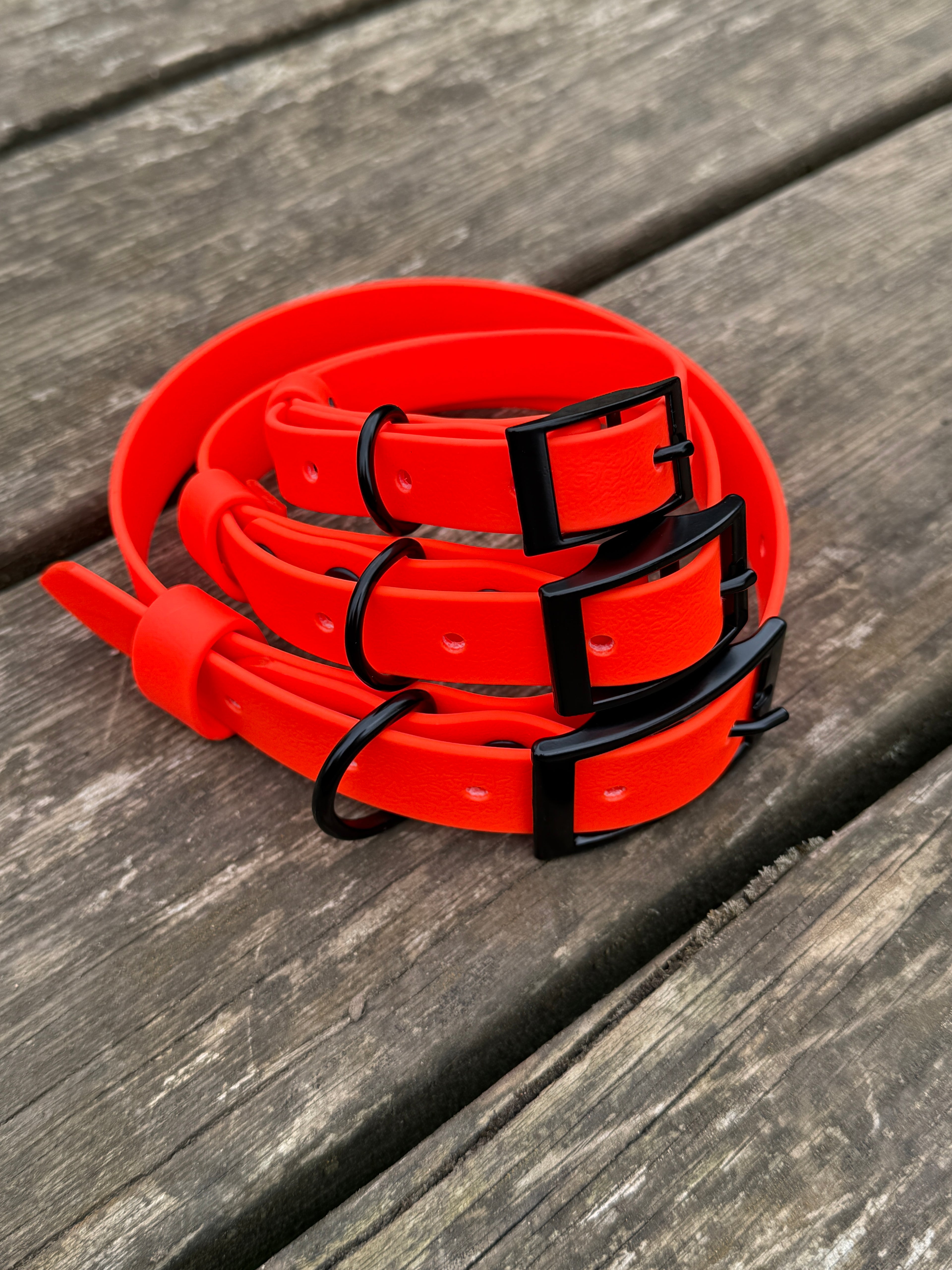 Waterproof DogCollar - Orange