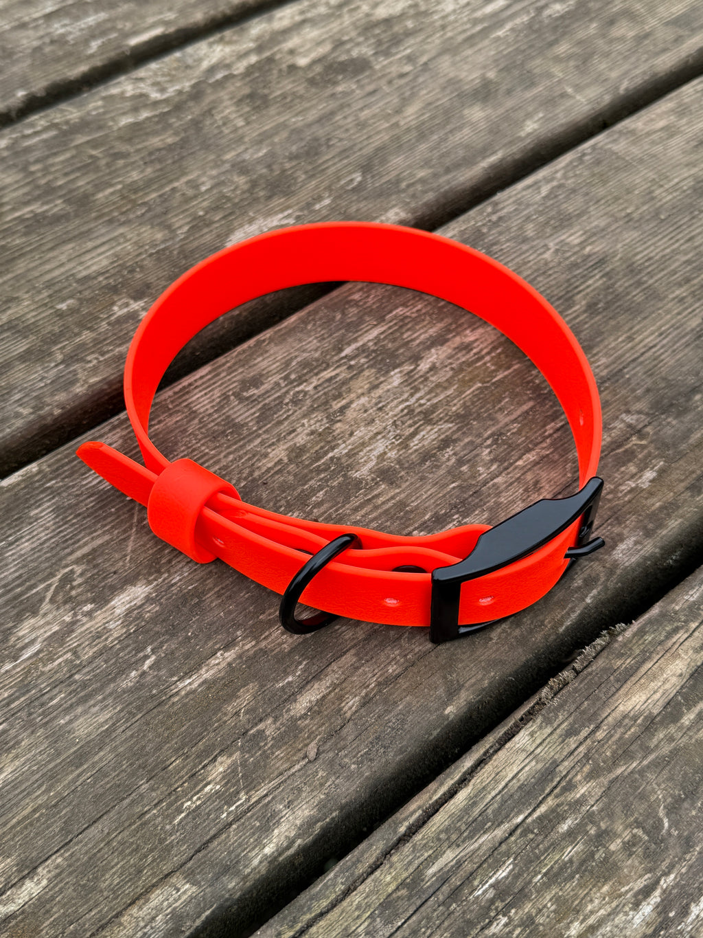 Waterproof DogCollar - Orange