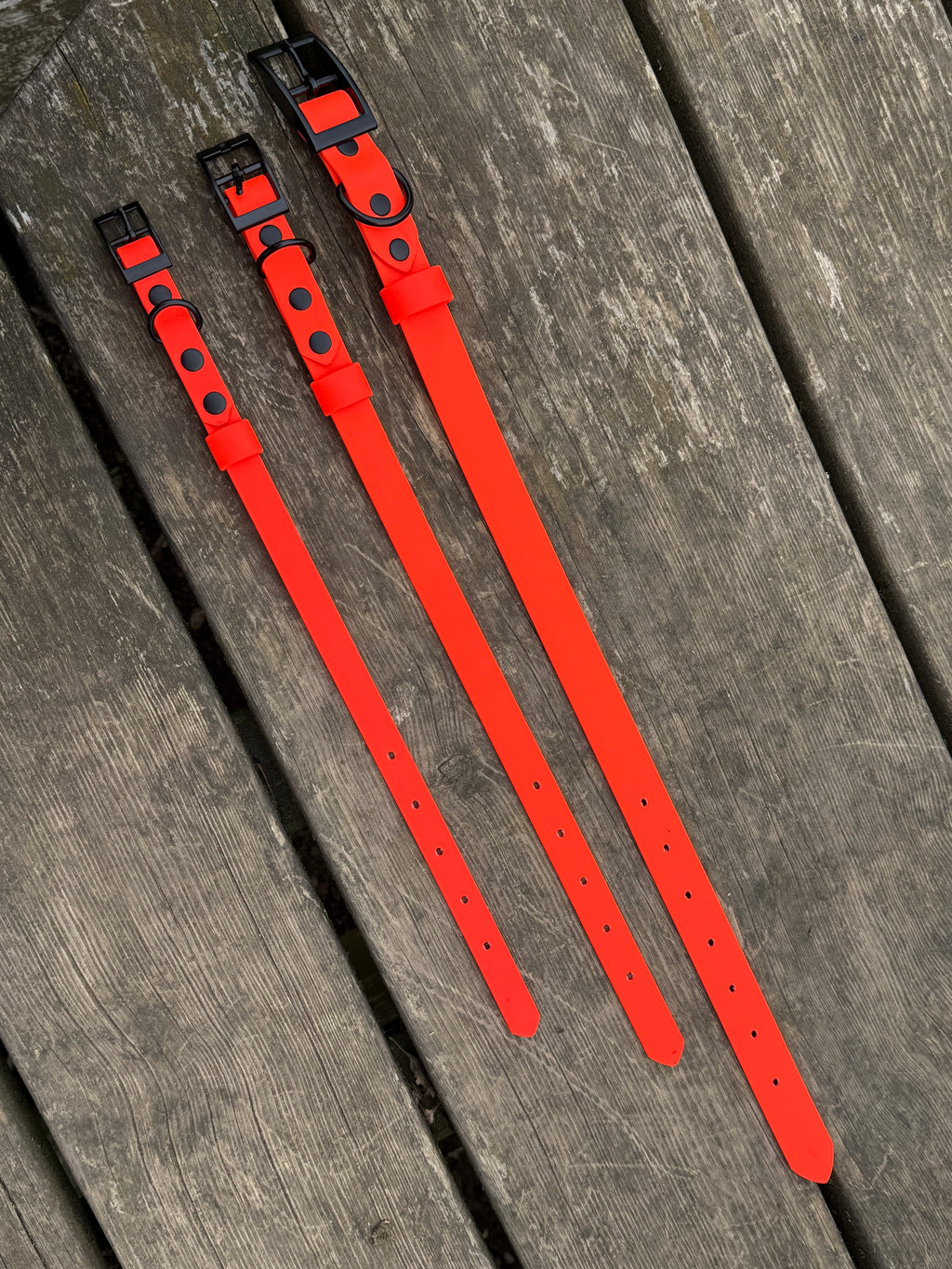 Waterproof DogCollar - Orange