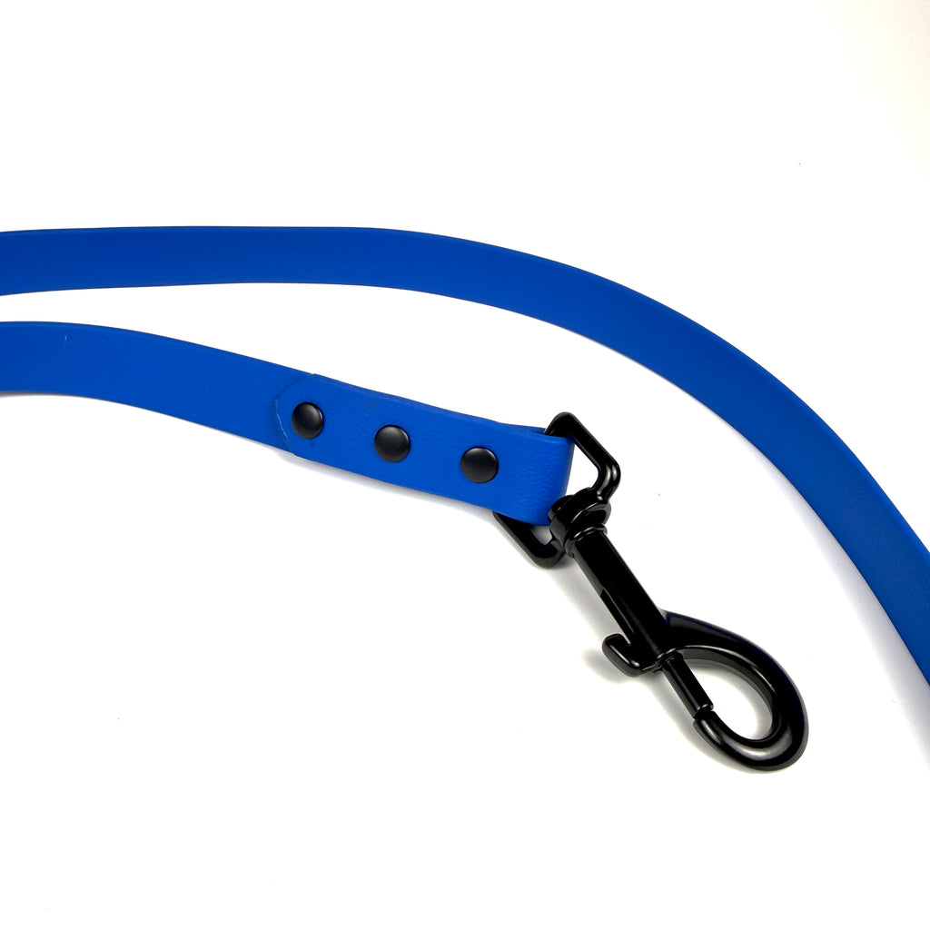 Waterproof Dog Lead - Blue