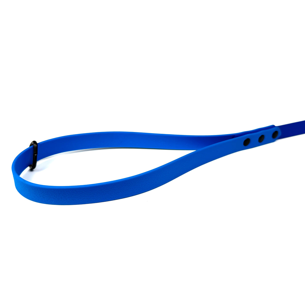 Waterproof Dog Lead - Blue/Sky Blue