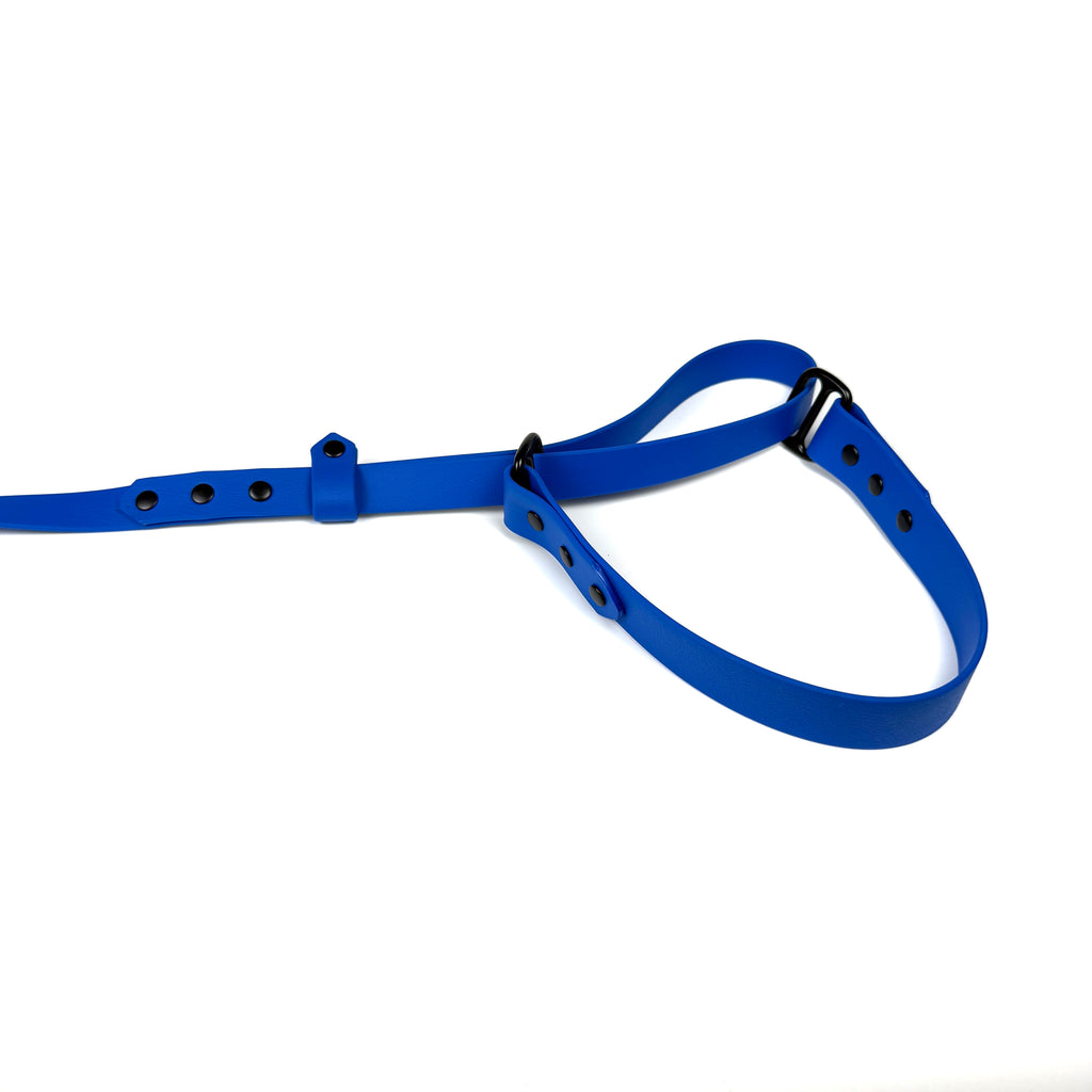 Waterproof Half Choke Dog Lead - Blue